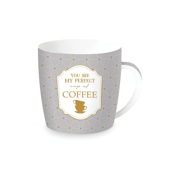 EASY LIFE porcelianinis puodelis "My Perfect Cup of Coffee", 350 ml  | 1